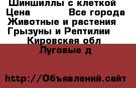 Шиншиллы с клеткой › Цена ­ 8 000 - Все города Животные и растения » Грызуны и Рептилии   . Кировская обл.,Луговые д.